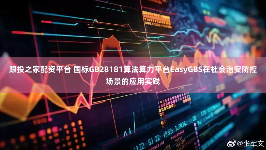 跟投之家配资平台 国标GB28181算法算力平台EasyGBS在社会治安防控场景的应用实践